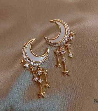 Moon Stars Drop Earrings Pair